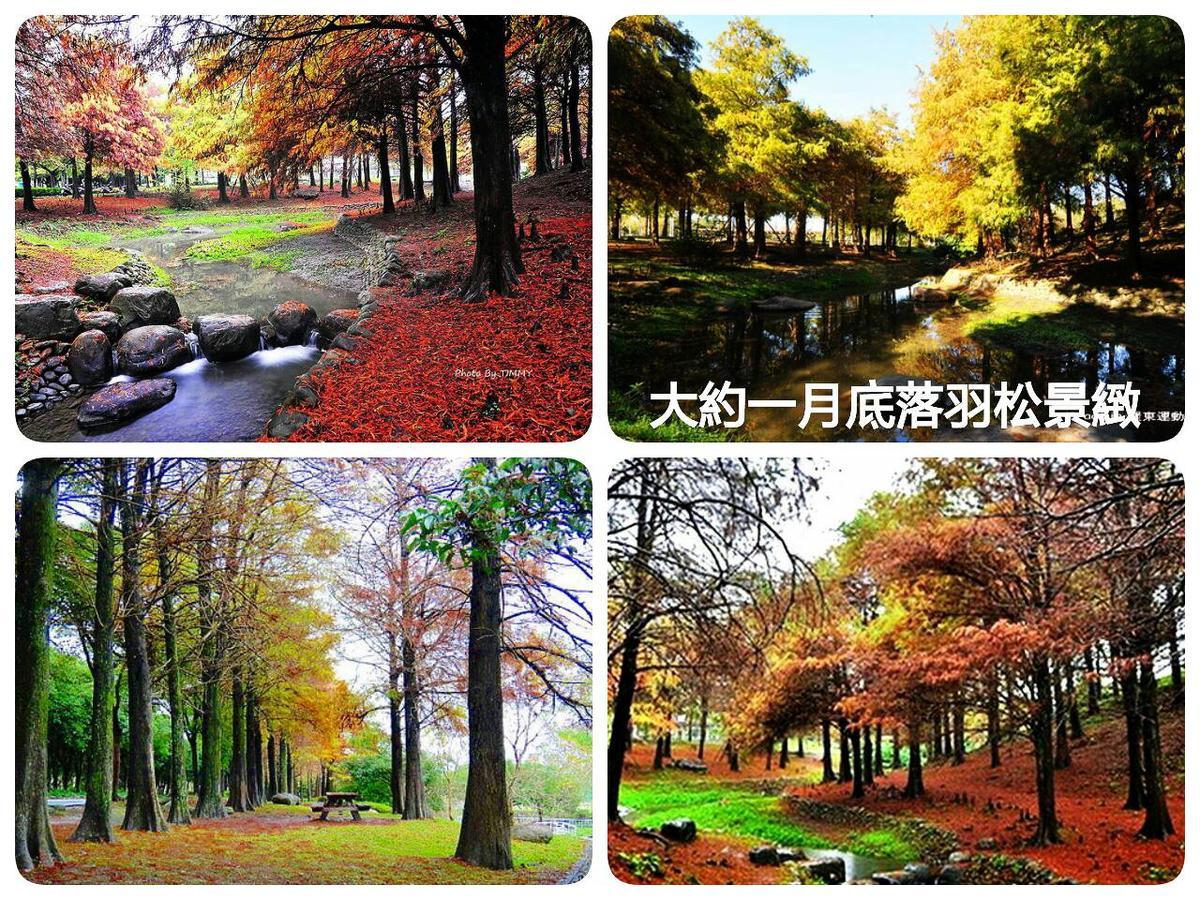 公園 B&B Лодун Экстерьер фото